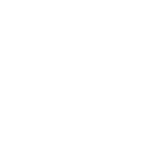 Megapix